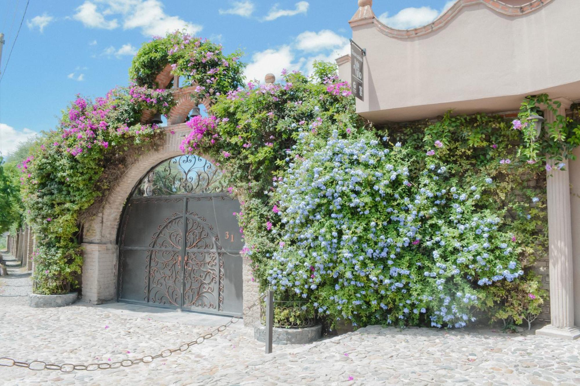 Casa Las Palmas, San Miguel De Allende Сьенегита Экстерьер фото